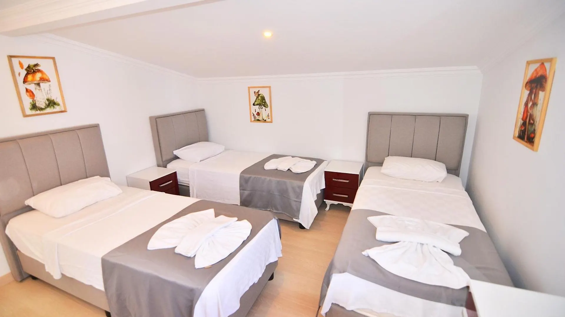Apart-hotel Mykonut Apart Hotel Fethiye